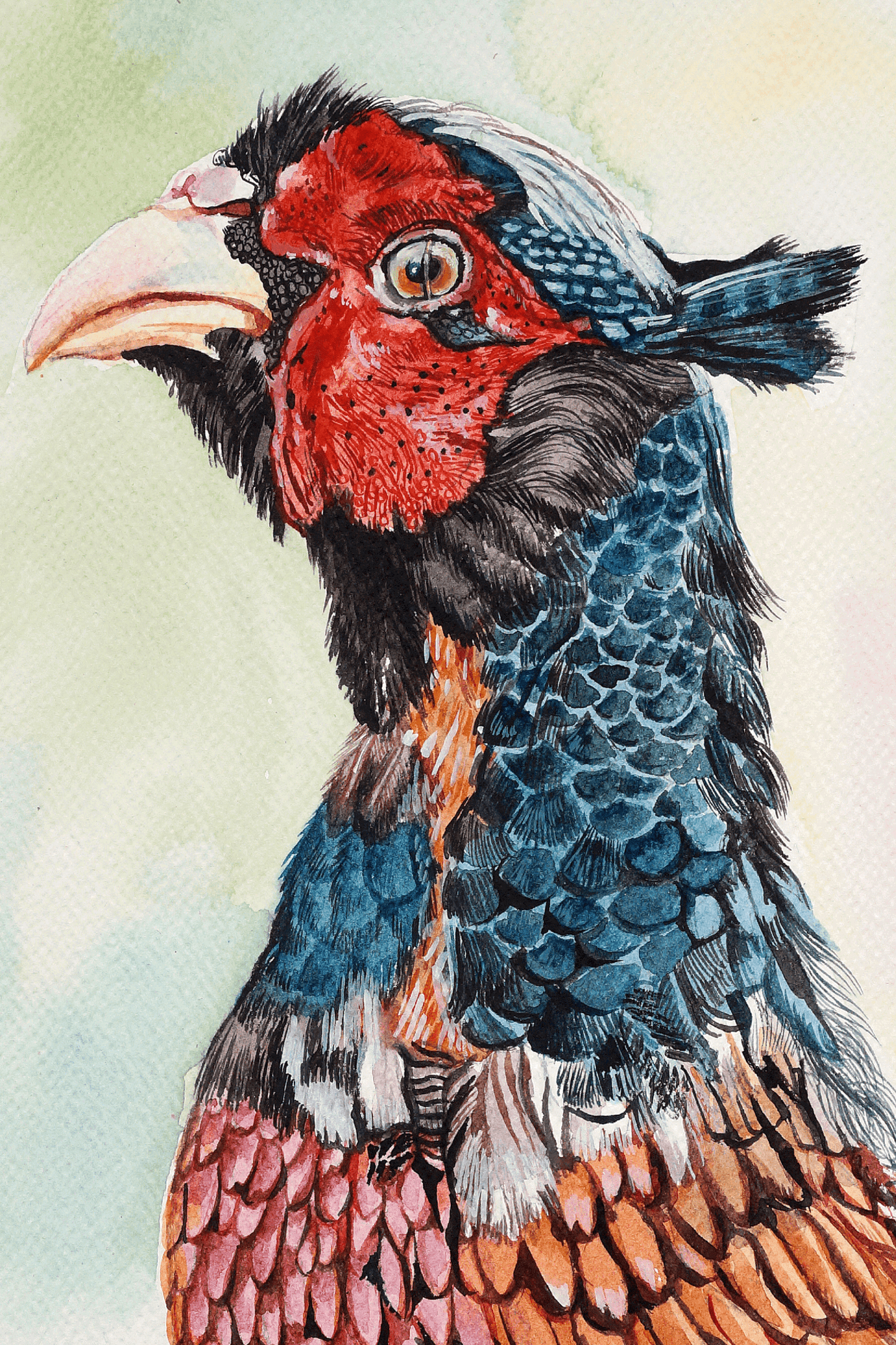 A Hen in Spring, Watercolor Painting Watercolor painting Art by Nabanita Ray hen-watercolor-painting-copy