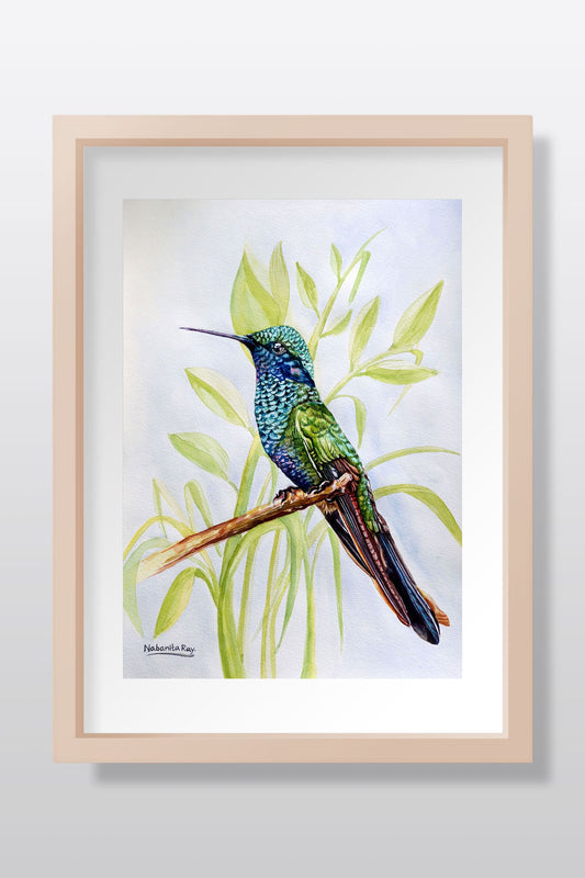 Tropical Hummingbird Watercolor painting