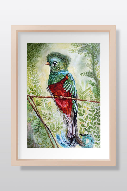 Quetzal Bird Watercolor Painting